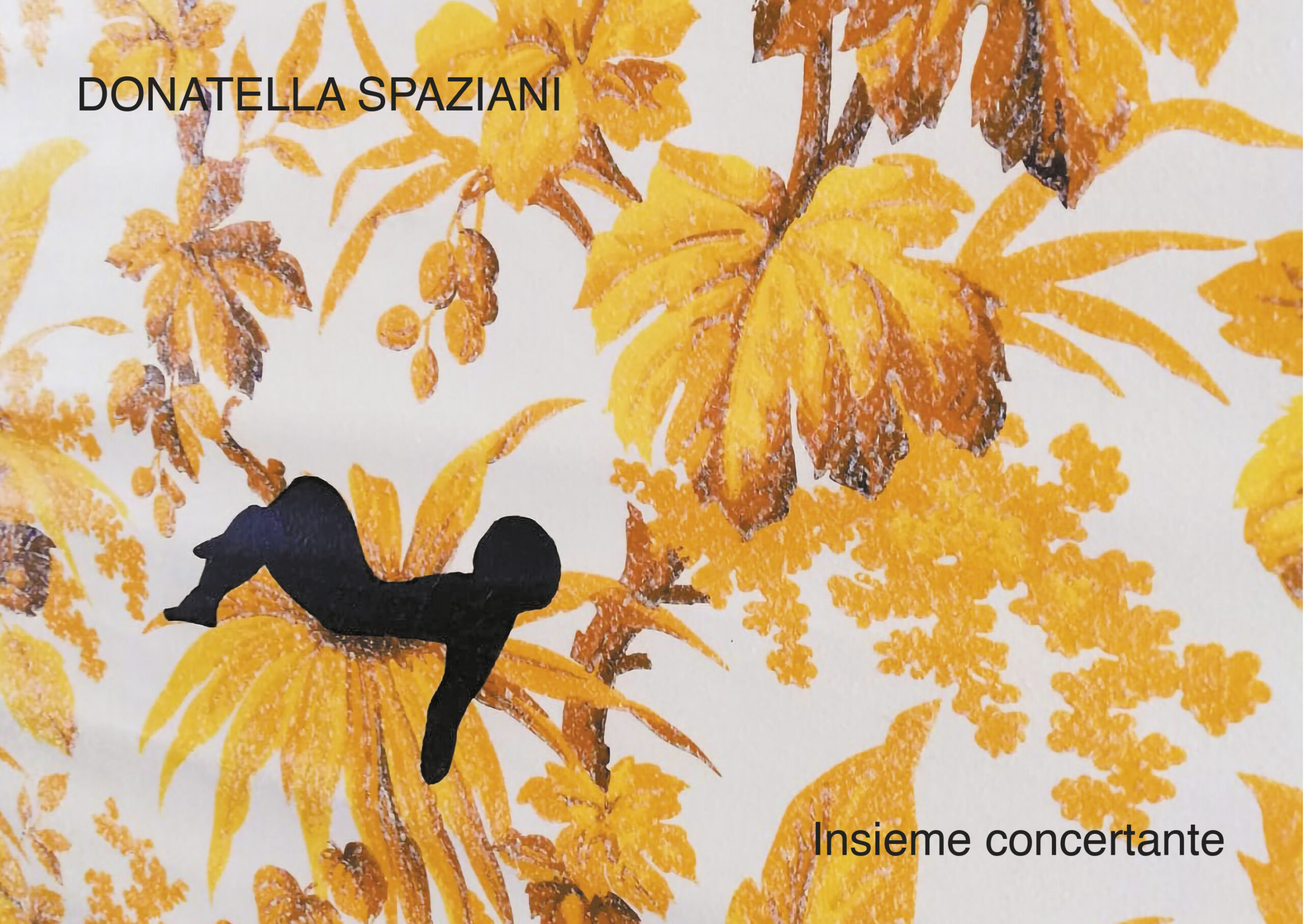 Donatella Spaziani - Insieme concertante